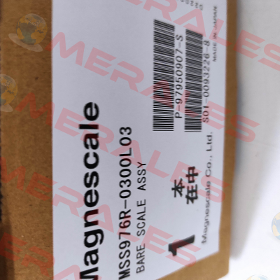 MSS976R-300MM (30-300-30) Magnescale