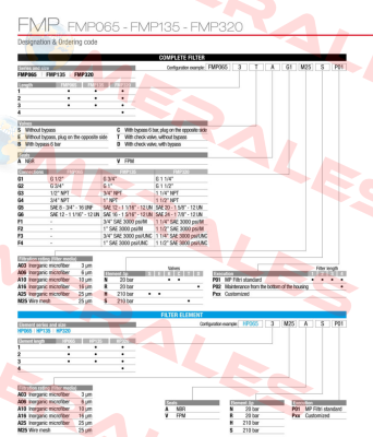 FMP-320-2-B-A-G1-A10-N-P01 MP Filtri