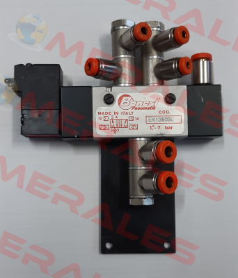 EK13803L/F Bonesi Pneumatic