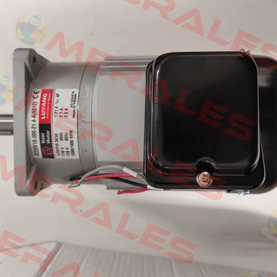 J220V18-300-21.4-A (A012) G3 Luyang Gear Motor