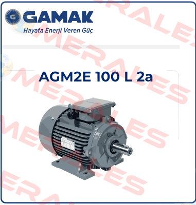 2007 177409 AGM 100 L 2 Gamak